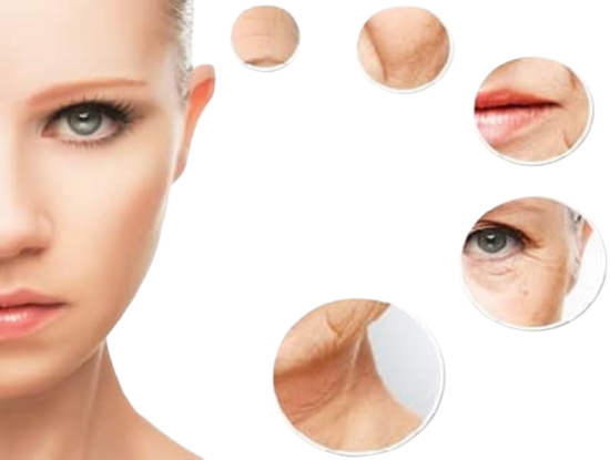 Reverse ageing with Botulinum Toxin